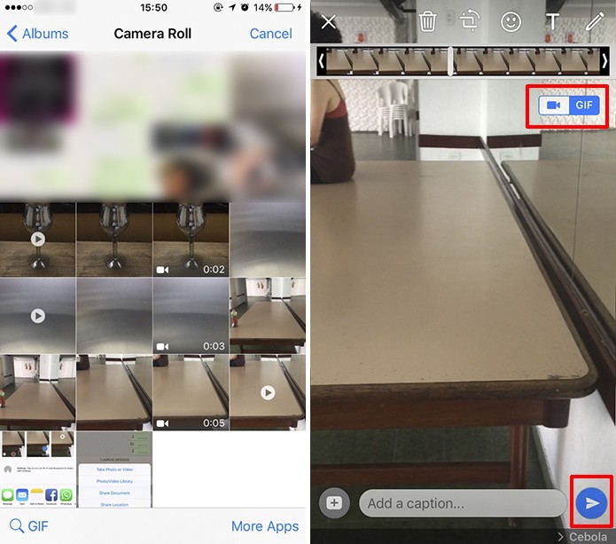 WhatsApp para iOS permite enviar vídeos e Live Photos como GIFs e
