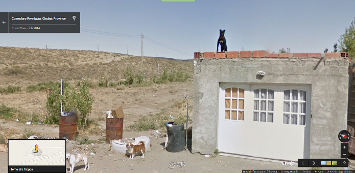 O cão em cima da laje da casa foi flagrado pelo serviço de mapa do Google (Foto: Reprodução/Lívia Dâmaso)