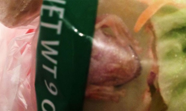 Em outubro do ano passado, uma mulher encontrou um sapo vivo em uma embalagem de salada que havia comprado em um supermercado da rede Walmart em Minneola, no estado da Flórida (EUA) (Foto: Reprodução)
