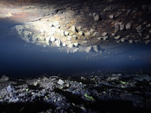 Fezes de roedores e outros materiais podem ser vistos pela caverna (Foto: Divulgação CPRM)