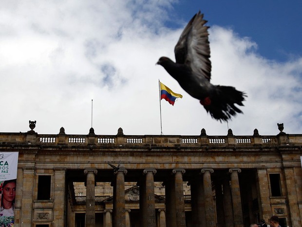 Pomba voa sobre a Praça Bolívar em Bogotá, na Colômbia, nesta quinta-feira (23), dia em que foi assinado o acordo de cessar-fogo com as Farc  (Foto: Fernando Vergara/AP)