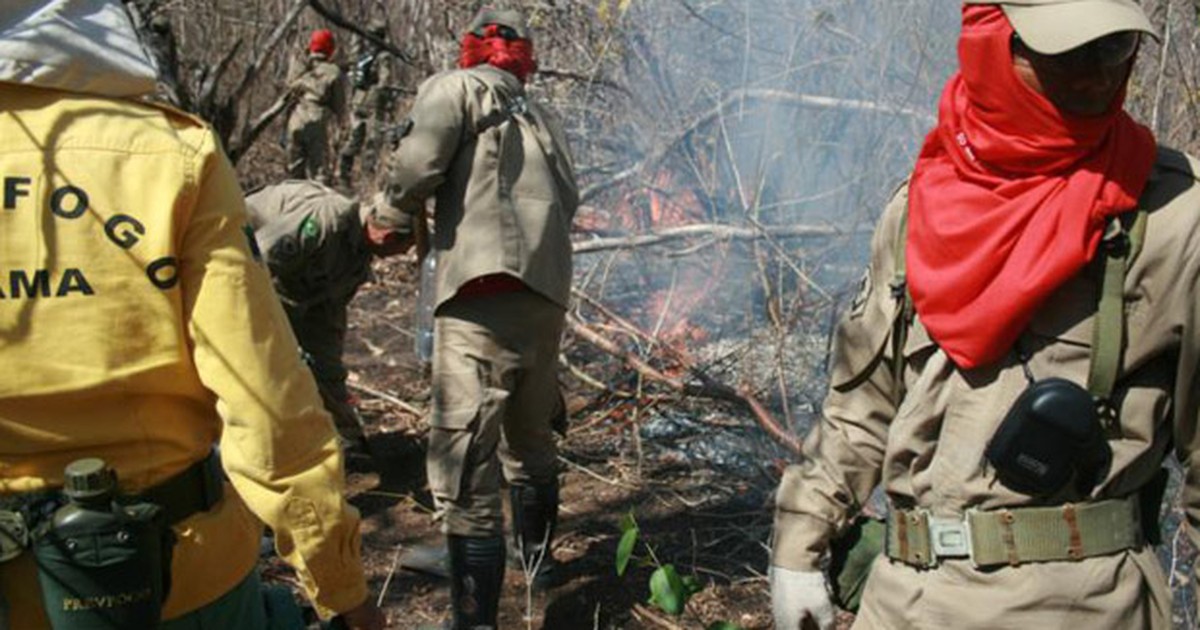 G Brigadistas Combatem Inc Ndio No Cear Not Cias Em Brasil