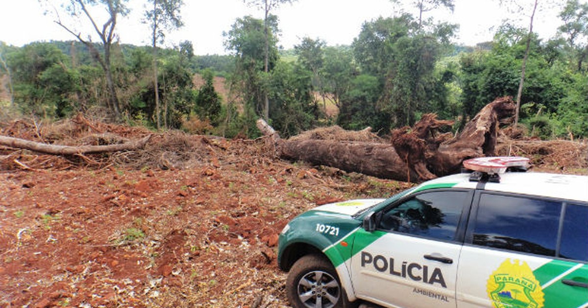 G1 - Polícia Ambiental encontra 126.000 m² de área desmatada no Paraná