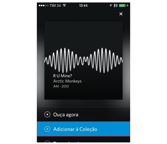 Na nova tela, clique sobre Adicionar à Coleção para salvar a música desejada (Foto: Reprodução/Paulo Finotti)