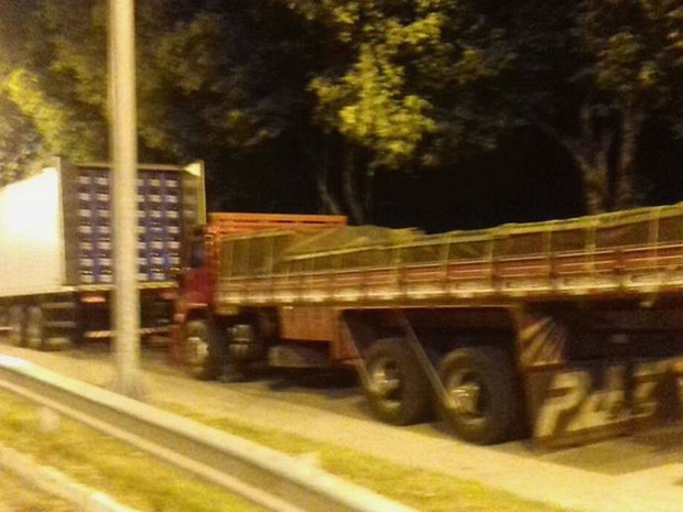 Bebidas foram encontradas em caminhões na BR-101 (Foto: Divulgação / PRF)