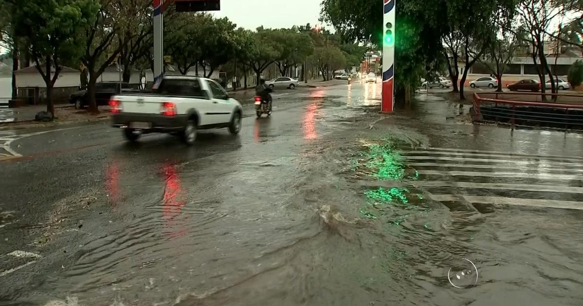 G1 Chuva E Ventos Fortes Causam Estragos Na Região Noroeste Paulista Notícias Em Rio Preto E 