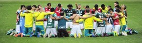 De joelhos, jogadores do Palmeiras comemoram vitória sobre o Botafogo (Foto: Marcos Ribolli)