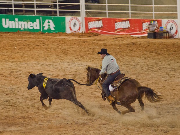 No Team Penning, peões devem colocar animais designados pelos jurados em "curral" dentro da arena (Foto: Érico Andrade/G1)