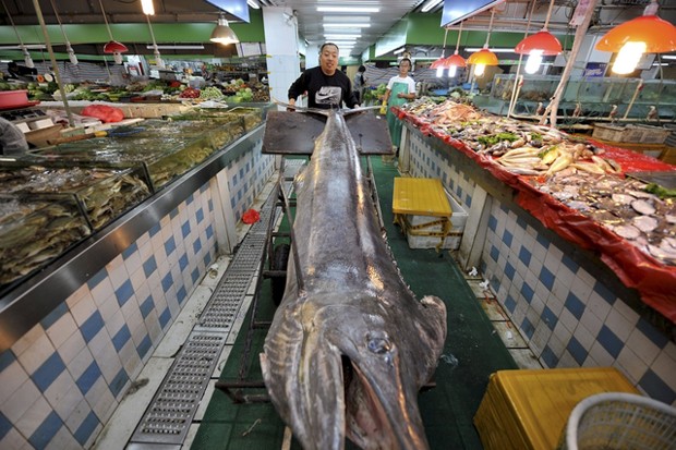 Peixe-espada de mais de 300 kg é pescado na China (Foto: Reuters/Stringer)