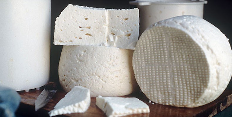 Resultado de imagem para produÃ§Ã£o e comercializaÃ§Ã£o de queijo artesanal