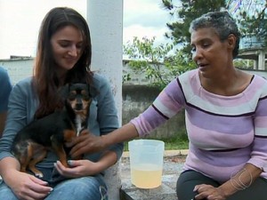 Cães auxiliam  no tratamento de pacientes psiquiátricos (Foto: Reprodução/TV Integração)