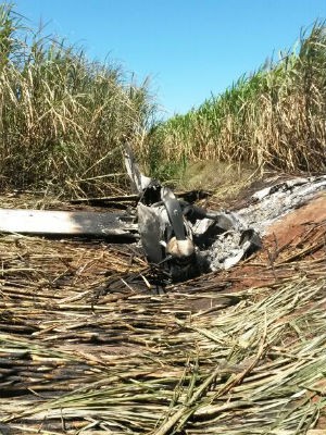 Avião caiu em um canavial em Bocaina (Foto: Monize Poiani/ TV Tem Bauru)