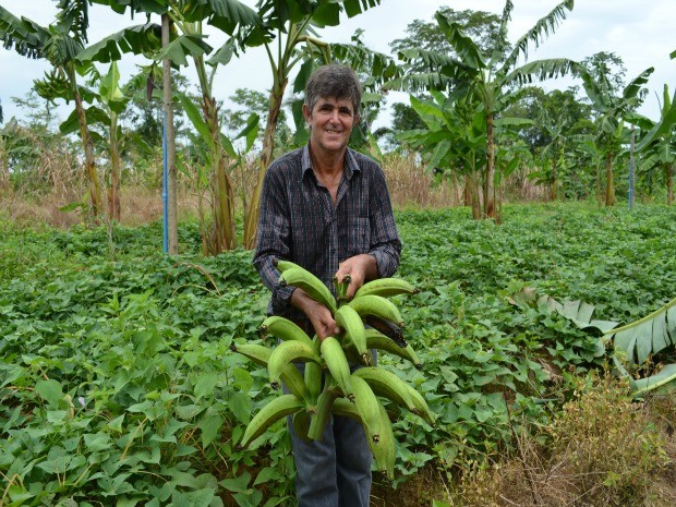 Osvaldo planta pepino de banana no mesmo espaço de cultivo (Foto: Eliete Marques/G1)