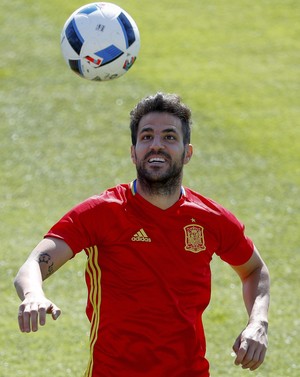 Fabregas treino Espanha Eurocopa (Foto: EFE)