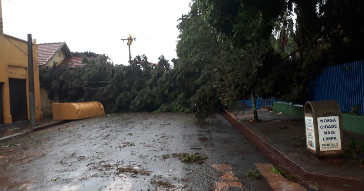Temporal destelha casa e derruba árvores em Palmital - Globo.com
