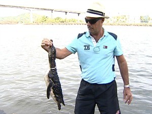 Casal encontrou o animal boiando no mar da Ilha do Boi em Vitória. (Foto: Reprodução/TV Gazeta)