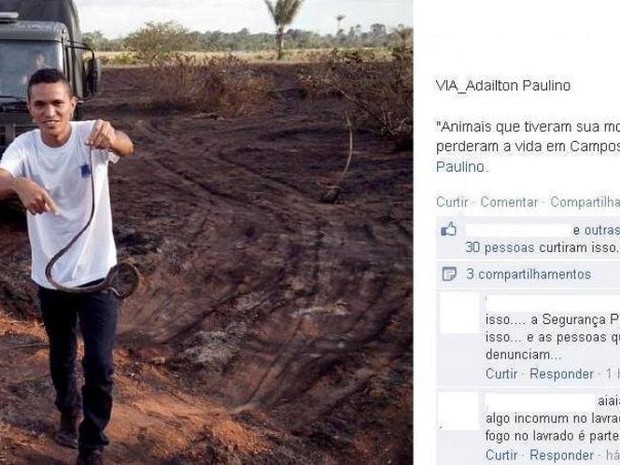Gerente do Prevfogo mostra cobra encontrada morta devido à queimada (Fot Adailton Paulino/Arquivo pessoal)