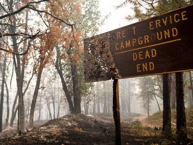 Placa de camping do Parque Nacional Kings Canyon ficou destruída por incêndio na Califórnia  (Foto: REUTERS/Max Whittaker )