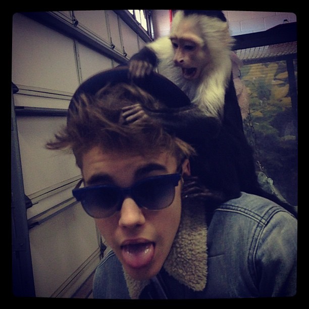 Justin Bieber brinca com macaco (Foto: Instagram)