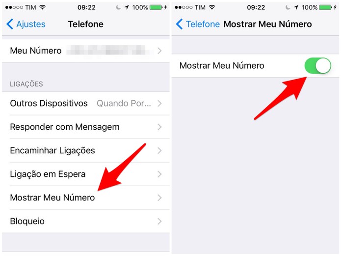 Desative a chave de Mostrar meu número (Foto: Reprodução/Lucas Mendes)