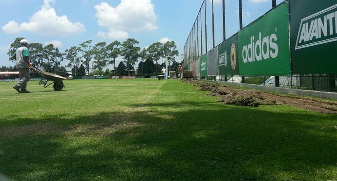 Academia de Futebol Palmeiras (Foto: Marcelo Hazan)