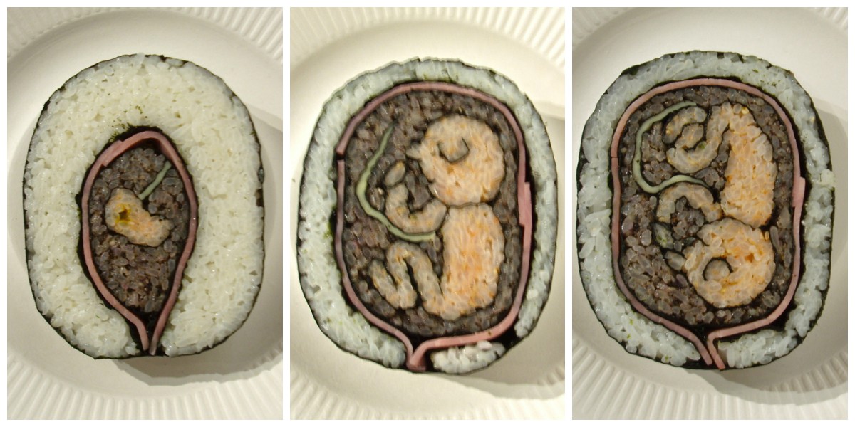 Arte em sushi Fotor0116151852