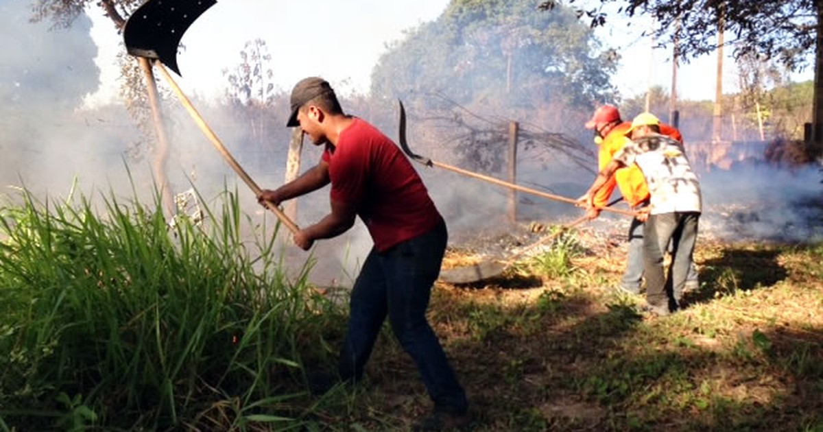 G Brigadistas Tentam Apagar Fogo Mangueira Furada Em Rea De