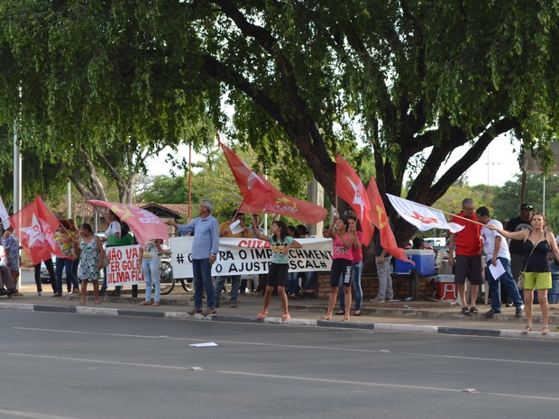 Segundo organização do protesto, cerca de 100 pessoas participaram da manifestação (Foto: Valéria Oliveira/ G1)
