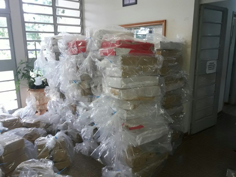 Quase cinco toneladas de maconha foram apreendidas em Teodoro Sampaio (Foto: Betto Lopes/TV Fronteira)