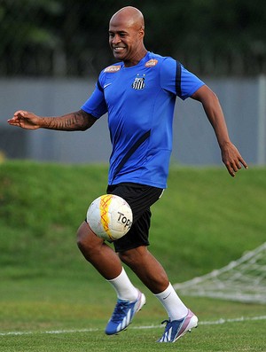 Marcos Assunção (Foto: Ivan Storti / Divulgação Santos FC)