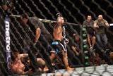 Pitbull nocauteia Jordan Mein no UFC e vence a segunda consecutiva Pitbull nocauteia Jordan Mein no UFC e vence a segunda consecutiva