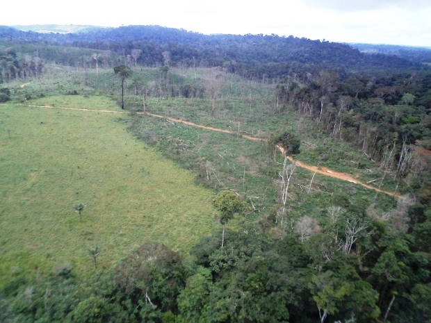 floresta amazônica desmatamento Pará (Foto: Nelson Feitosa/Ibama)