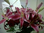 Fani ganha flores de admirador e posta foto: 'Amei'