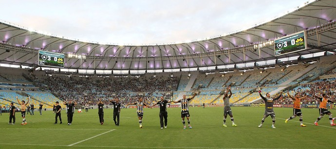 Botafogo comemoração jogo Criciúma (Foto: Satiro Sodre / SSPress)