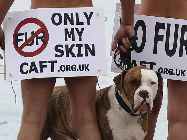 'Só a minha pele', diz cartaz em inglês (Foto: Valery Hache/AFP)