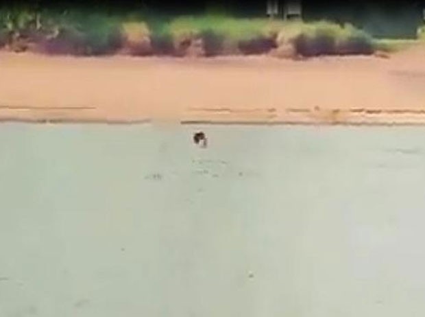 Jovem se arriscou e nadou em rio infestado de crocodilos (Foto: Reprodução/YouTube/G Plus)
