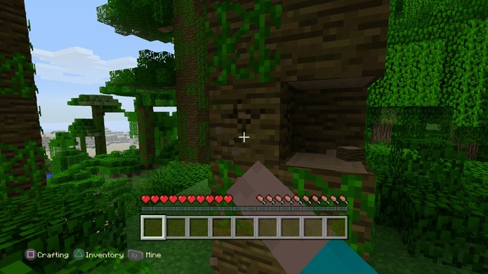 No modo Survival de Minecraft você começa sem nada e precisa aprender a sobreviver (Foto: Reprodução/Rafael Monteiro)