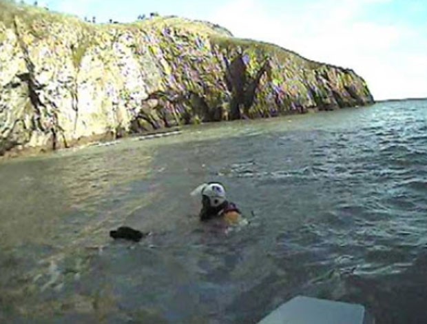 Cão é salvo após cair de penhasco de 12 m no mar no Reino Unido (Foto: Reprodução/YouTube/RNLI)