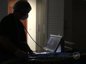 Cobra passou por ultrassom durante a cirurgia (Foto: Reproduo/TV TEM)