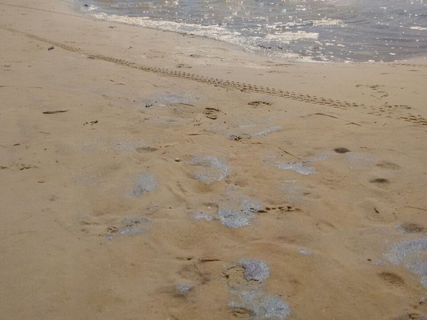 Manchas escuras na areia da Praia de Muro Alto, em Ipojuca, na Região Metropolitana do Recife (Foto: Reprodução/WhatsApp) Manchas escuras na areia da Praia de Muro Alto, em Ipojuca, na Região Metropolitana do Recife (Foto: Reprodução/WhatsApp)