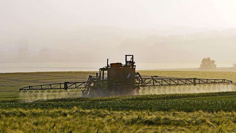 agrotóxicos-defensivos-pesticida (Foto: Pixabay)