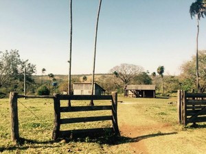 Entrada da fazenda já retomada pelos proprietários (Foto: Martim Andrada/TV Morena)