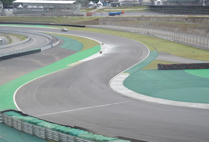 Interlagos S do Senna Fórmula 1 (Foto: David Abramvezt)