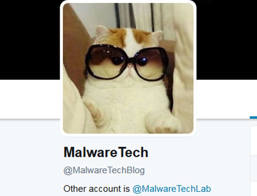 Perfil no Twitter de MalwareTech (Foto: Reprodução)