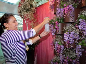 Produtores podem participar de evento que expõe flores cultivadas em solo paraense (Foto: Eunice Pinto / Agência Pará)