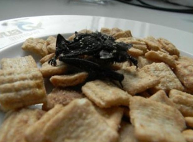 Em novembro de 2011, um alemão disse ter ficado horrorizado após encontrar um morcego morto em uma caixa de cereal em Stuttgart, na Alemanha (Foto: Reprodução)