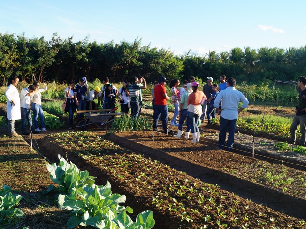 g1-centro-tecnol-gico-realiza-pesquisas-em-agroecologia-no-sert-o-de