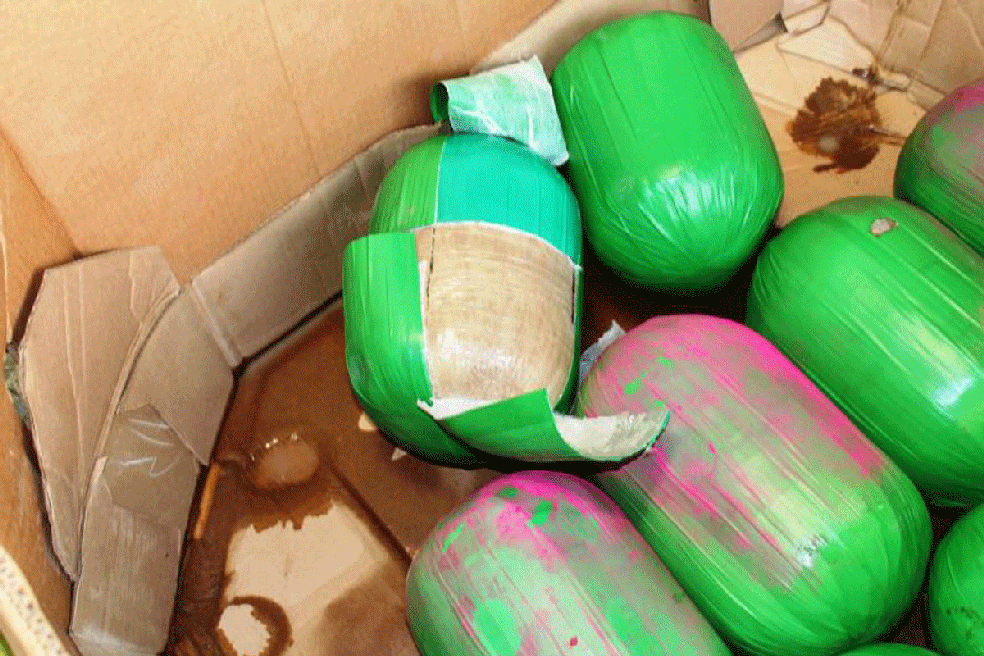 Agentes apreendem maconha disfarçada como melancias nos EUA (Foto: U.S. Customs and Border Protection)