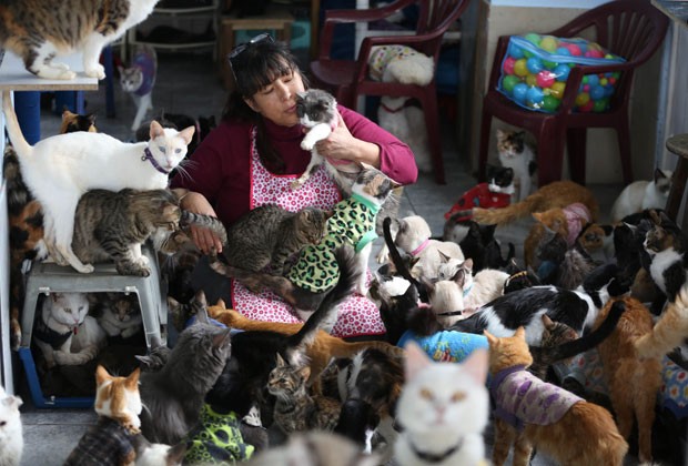 A enfermeira peruana Maria Torero ao lado de seus gatos em sua casa em Lima (Foto: Martin Mejia/AP)