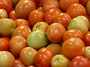 Queda do preço do tomate (Foto: Reprodução/Tv Integração)
